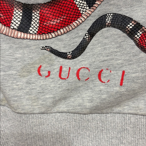 GUCCI PreOwned Gray Red Snake Hoodie & Some staining on collar & front Sz Large - Picture 14 of 16